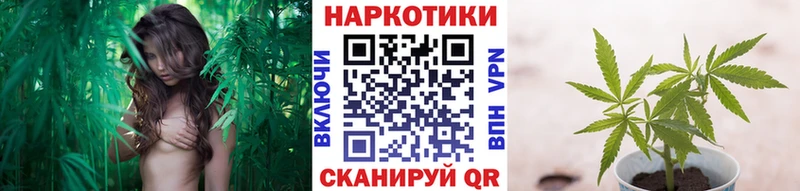 Сколько стоит Бежецк Alpha-PVP  Марихуана  Кокаин 