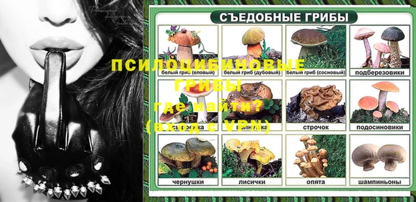ГАЛЛЮЦИНОГЕННЫЕ ГРИБЫ Алзамай