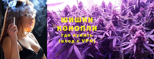 мяу мяу мука Абаза