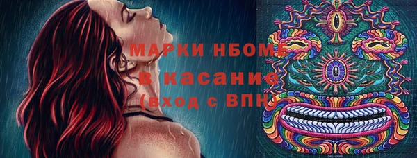ГАЛЛЮЦИНОГЕННЫЕ ГРИБЫ Алзамай