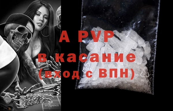 ГАЛЛЮЦИНОГЕННЫЕ ГРИБЫ Алзамай