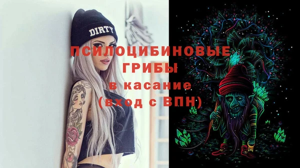 ГАЛЛЮЦИНОГЕННЫЕ ГРИБЫ Алзамай