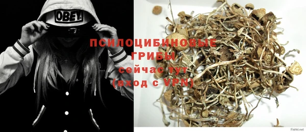 дмт Абдулино