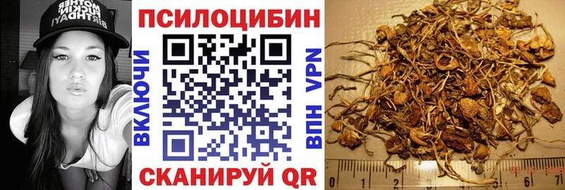 Галлюциногенные грибы Psilocybe Бежецк